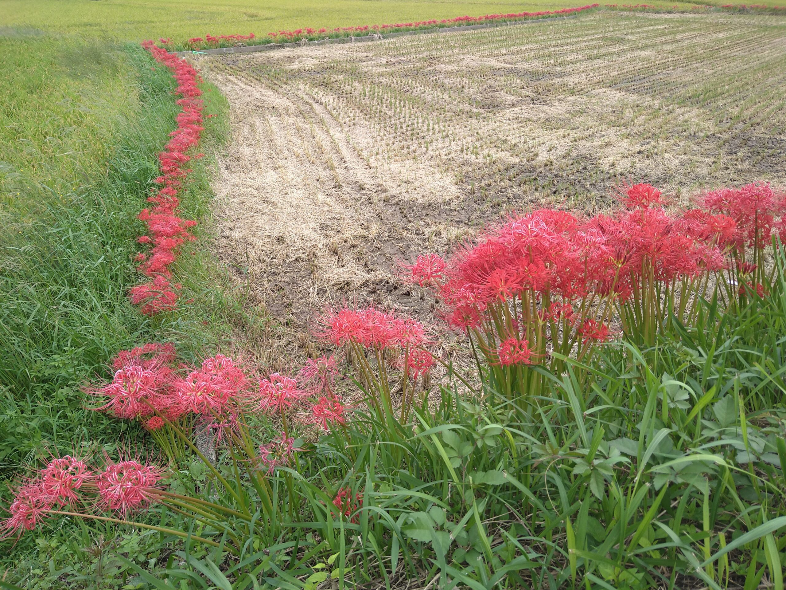 知らなかったパソコンの基本あれこれ