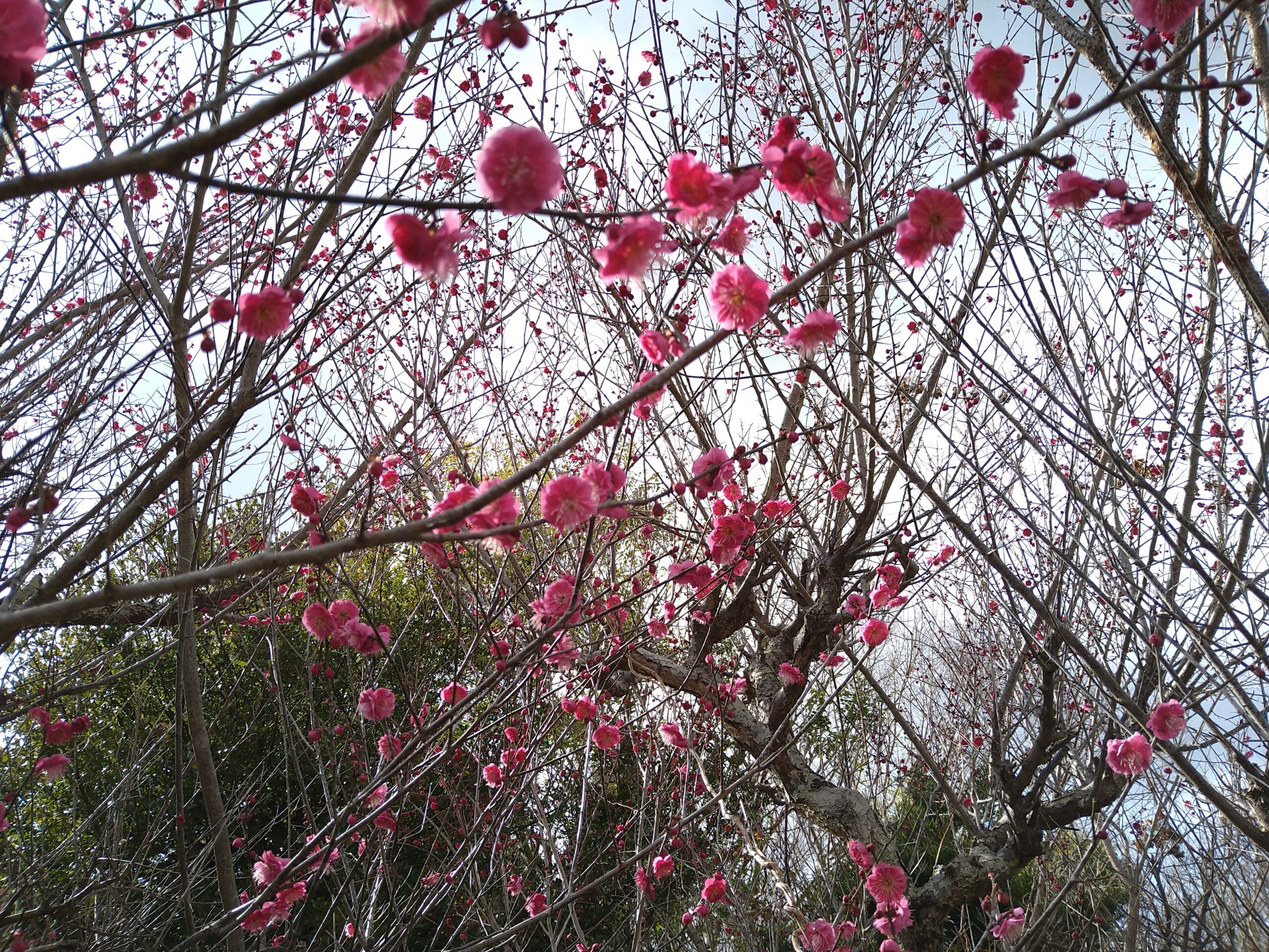 条件付き書式~その3~